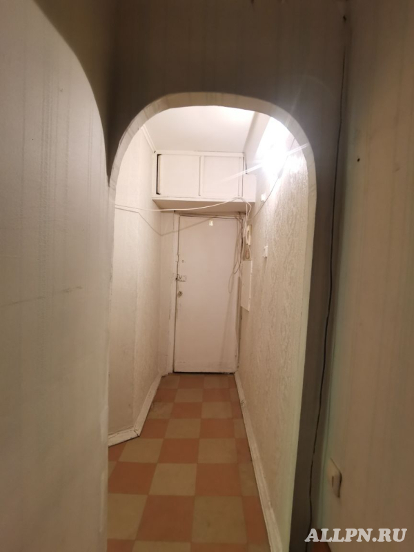  2    ,   33 -  ,   -